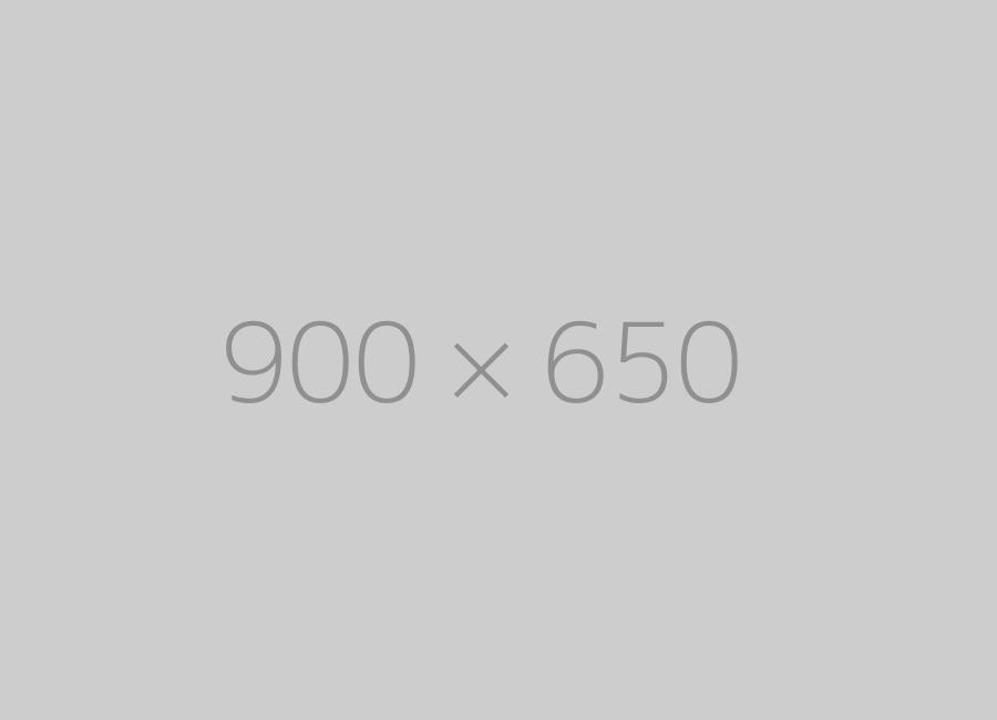 hongo 900x650-ph